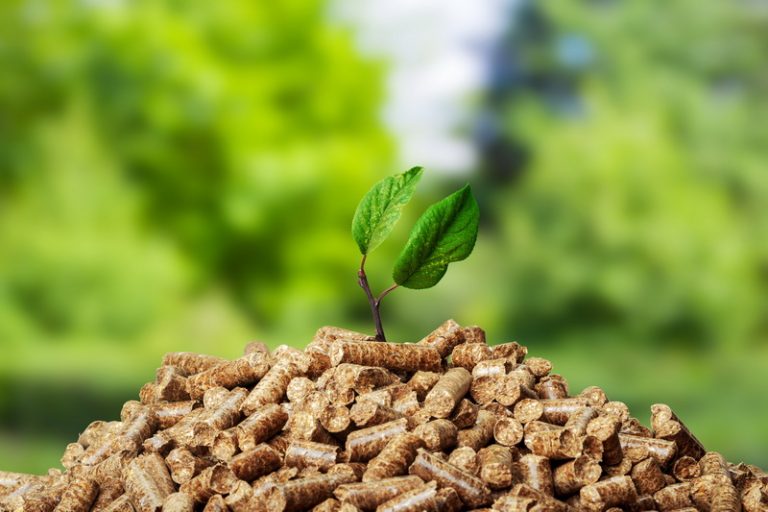 Online Training - Co-Firing Biomassa