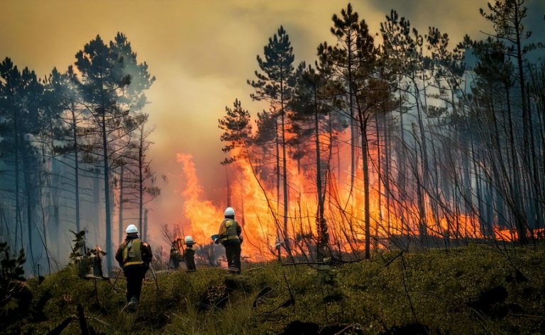 Online Training - Tanggap Bencana dan Kedaruratan Lingkungan