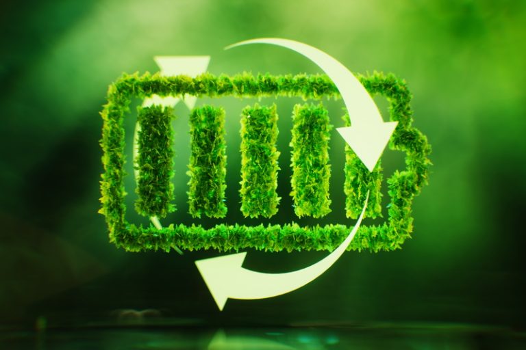 Battery Storage & Energy Management System