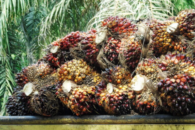 Preventive & Predictive Maintenance